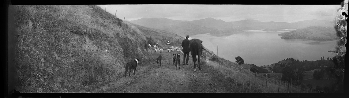 Akaroa Museum banners About mobile