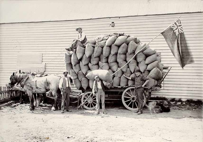 The Cocksfoot Harvest